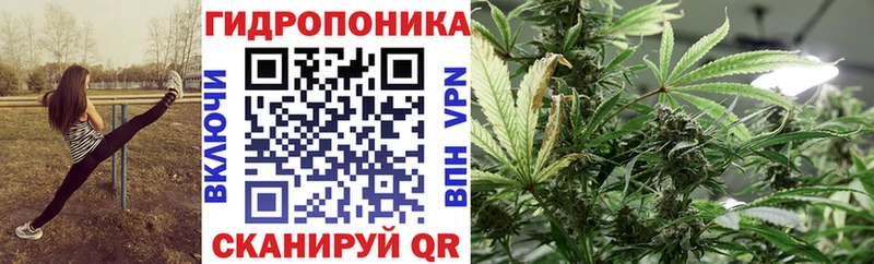 купить закладку  Волгоград  Бошки Шишки ГИДРОПОН 